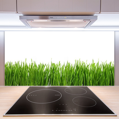 Painel vidro cozinha Grama Natureza Planta