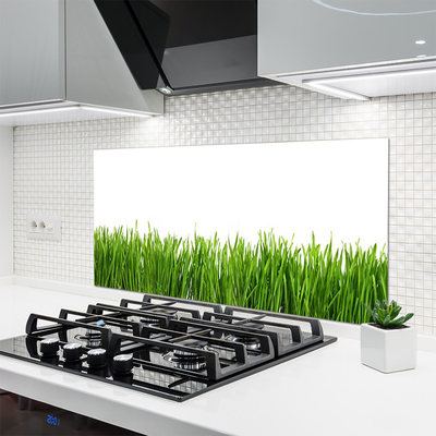 Painel vidro cozinha Grama Natureza Planta