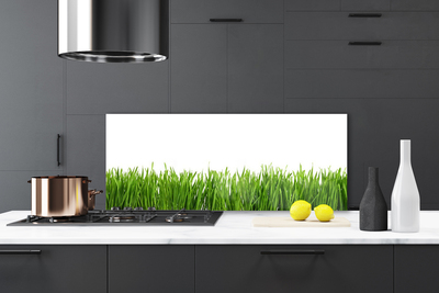 Painel vidro cozinha Grama Natureza Planta