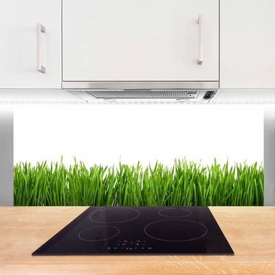 Painel vidro cozinha Grama Natureza Planta