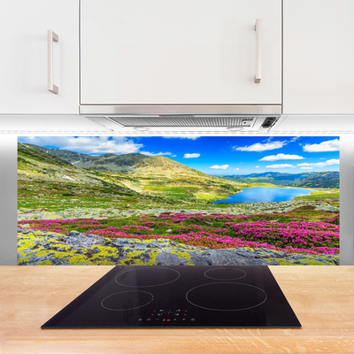 Painel vidro cozinha Natureza do prado da baía da montanha