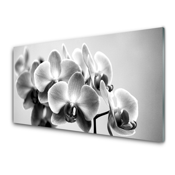Painel vidro cozinha Flores Planta Natureza