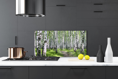 Painel cozinha Caminho da Floresta Natureza Árvores