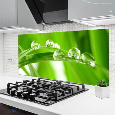 Painel cozinha Folhas Natureza Planta