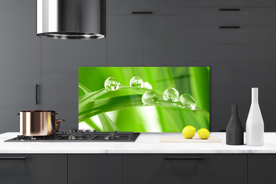 Painel cozinha Folhas Natureza Planta