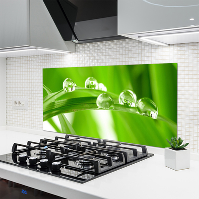 Painel cozinha Folhas Natureza Planta