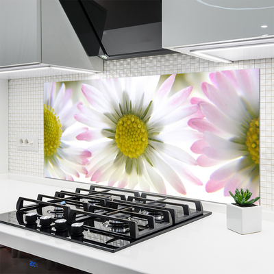 Painel vidro cozinha Natureza da planta margarida