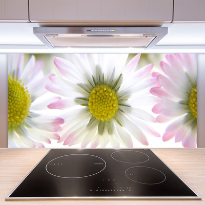 Painel vidro cozinha Natureza da planta margarida