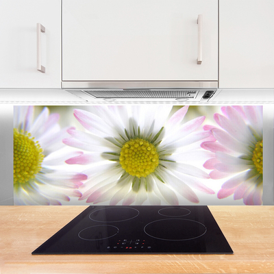 Painel vidro cozinha Natureza da planta margarida