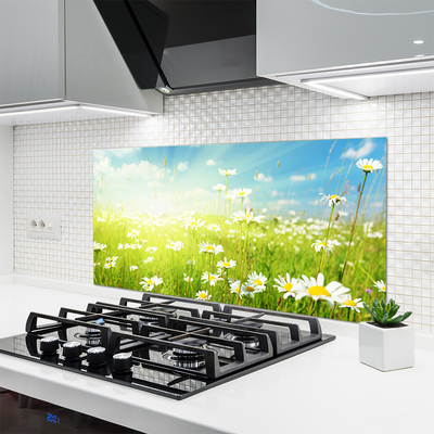 Painel vidro cozinha Natureza do Prado Daisy