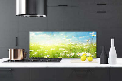 Painel vidro cozinha Natureza do Prado Daisy