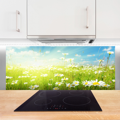 Painel vidro cozinha Natureza do Prado Daisy