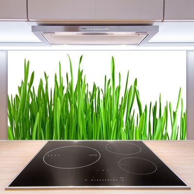 Painel cozinha Natureza da planta grama