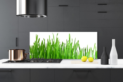 Painel cozinha Natureza da planta grama