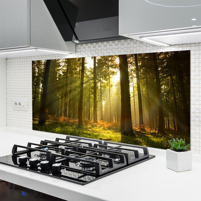 Painel vidro cozinha Floresta Natureza Árvores