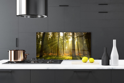 Painel vidro cozinha Floresta Natureza Árvores