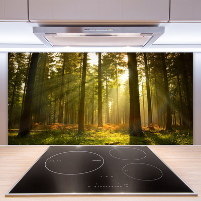 Painel vidro cozinha Floresta Natureza Árvores