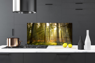 Painel vidro cozinha Floresta Natureza Árvores