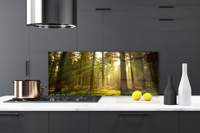 Painel vidro cozinha Floresta Natureza Árvores