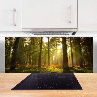 Painel vidro cozinha Floresta Natureza Árvores