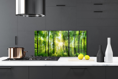 Painel vidro cozinha Floresta Natureza Árvores