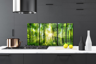 Painel vidro cozinha Floresta Natureza Árvores