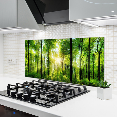 Painel vidro cozinha Floresta Natureza Árvores