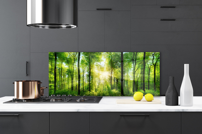 Painel vidro cozinha Floresta Natureza Árvores