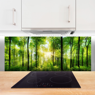 Painel vidro cozinha Floresta Natureza Árvores