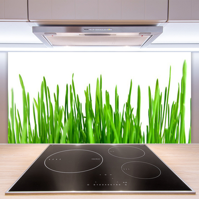Painel cozinha Natureza da planta grama