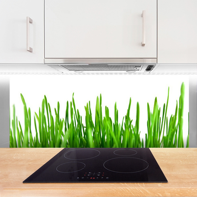 Painel cozinha Natureza da planta grama