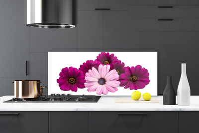 Painel cozinha Flores Planta Natureza