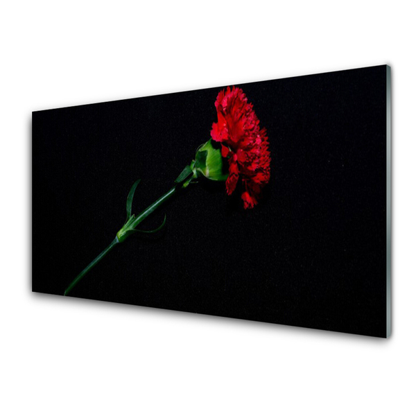 Painel vidro cozinha Flor Planta Natureza