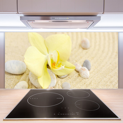 Painel vidro cozinha Flores Planta Natureza