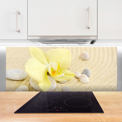 Painel vidro cozinha Flores Planta Natureza