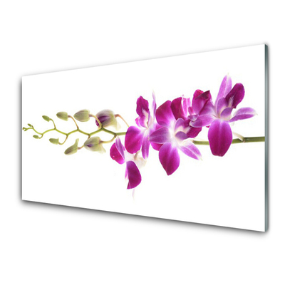 Painel cozinha Flores Planta Natureza