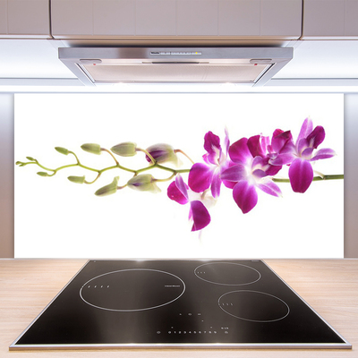 Painel cozinha Flores Planta Natureza
