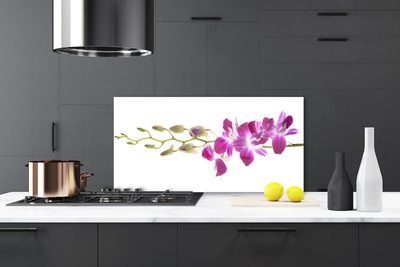 Painel cozinha Flores Planta Natureza