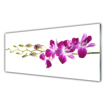 Painel cozinha Flores Planta Natureza