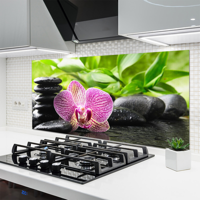 Painel vidro cozinha Planta de pedras de flores