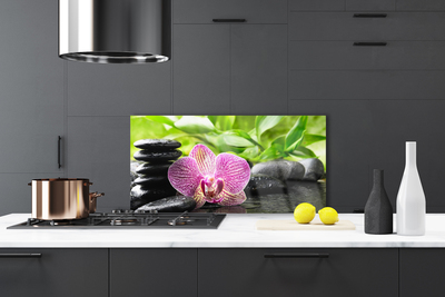 Painel vidro cozinha Planta de pedras de flores