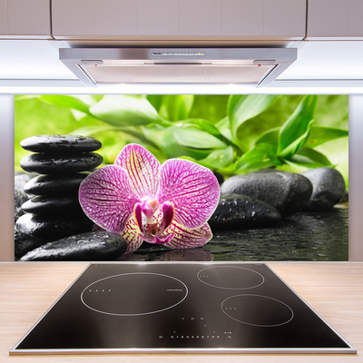 Painel vidro cozinha Planta de pedras de flores