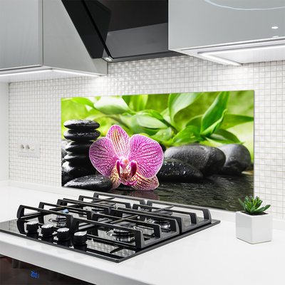 Painel vidro cozinha Planta de pedras de flores