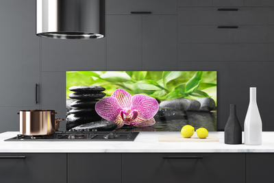 Painel vidro cozinha Planta de pedras de flores