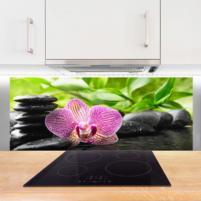 Painel vidro cozinha Planta de pedras de flores