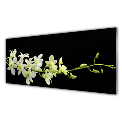 Painel cozinha Flores Planta Natureza