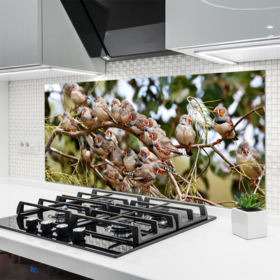 Painel vidro cozinha Pássaros Animais