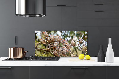 Painel vidro cozinha Pássaros Animais