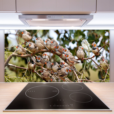 Painel vidro cozinha Pássaros Animais