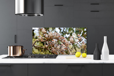 Painel vidro cozinha Pássaros Animais